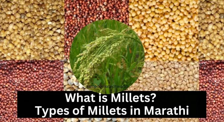 Types of Millets in Marathi
