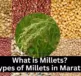 Types of Millets in Marathi