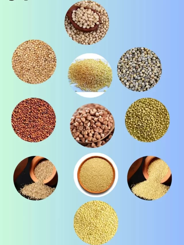 WHAT IS MILLET IN MARATHI? TYPES OF MILLETS IN MARATHI