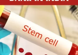 top 10 stem cell bank in india